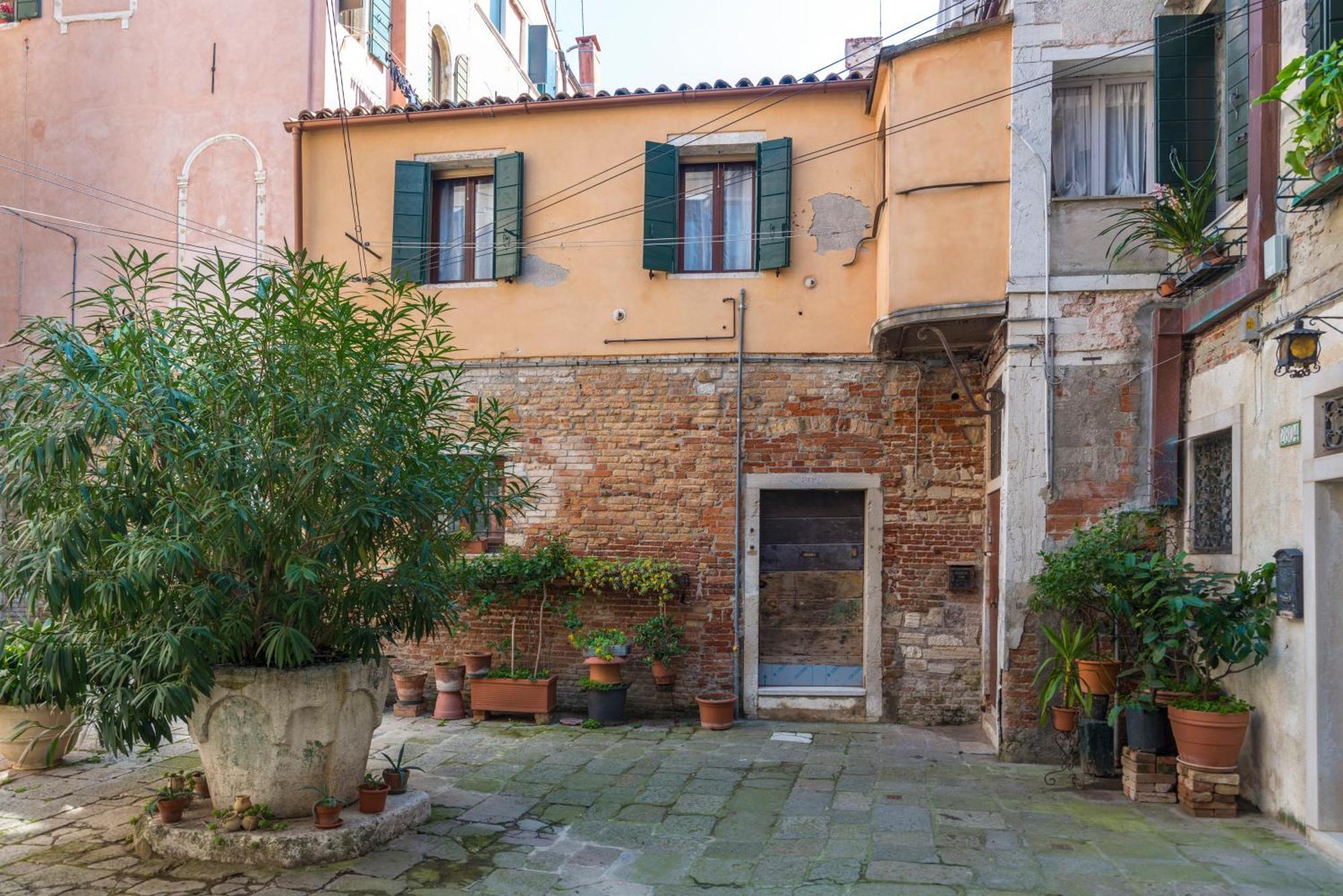 Vigna Tiny In Appartement